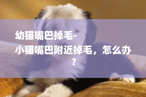 幼貓嘴巴掉毛-
小貓嘴巴附近掉毛，怎么辦？