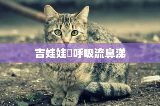 吉娃娃難呼吸流鼻涕