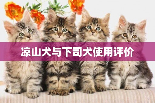 涼山犬與下司犬使用評價