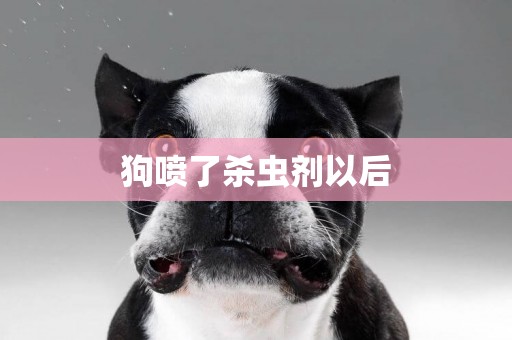 狗噴了殺蟲劑以后