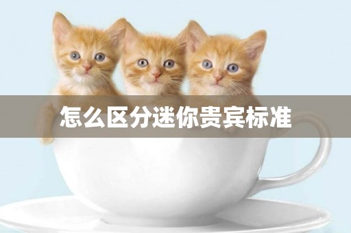怎么區分迷你貴賓標準