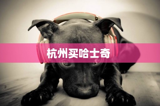 杭州買哈士奇 