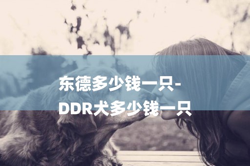 東德多少錢一只-
DDR犬多少錢一只