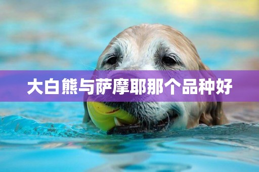大白熊與薩摩耶那個品種好