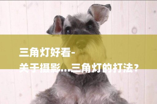 三角燈好看-
關于攝影...三角燈的打法？