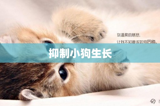 抑制小狗生長