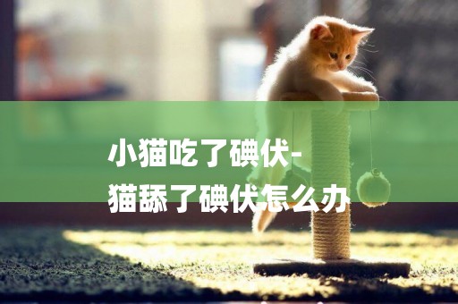 小貓吃了碘伏-
貓舔了碘伏怎么辦