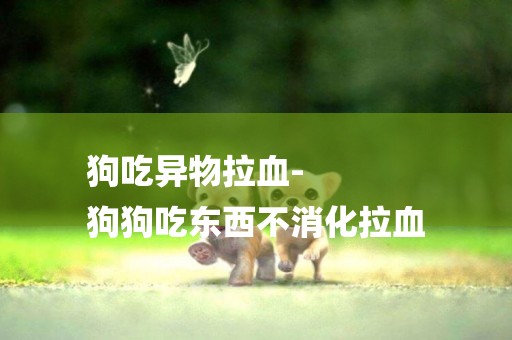 狗吃異物拉血-
狗狗吃東西不消化拉血