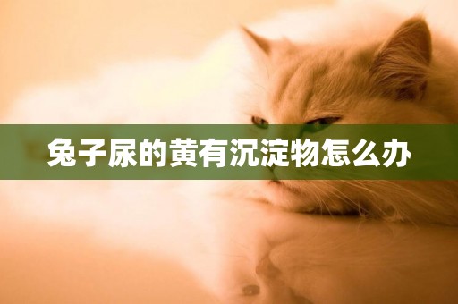 兔子尿的黃有沉淀物怎么辦