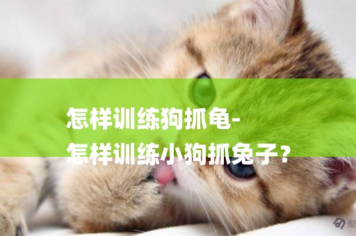 怎樣訓練狗抓龜-
怎樣訓練小狗抓兔子？