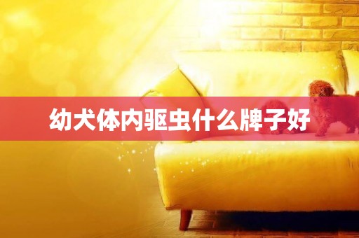 幼犬體內驅蟲什么牌子好