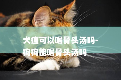 犬瘟可以喝骨頭湯嗎-
狗狗能喝骨頭湯嗎