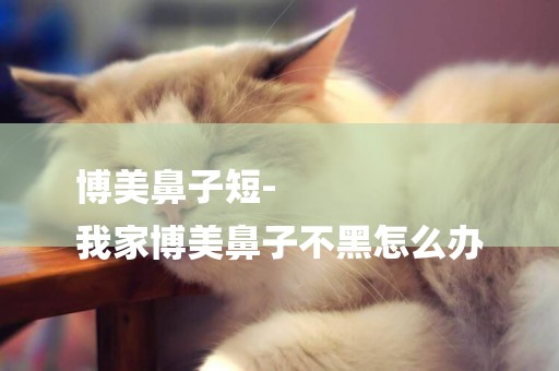 博美鼻子短-
我家博美鼻子不黑怎么辦