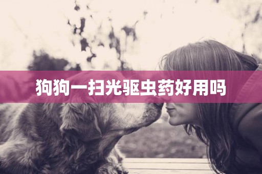 狗狗一掃光驅蟲藥好用嗎