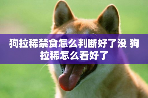 狗拉稀禁食怎么判斷好了沒 狗拉稀怎么看好了