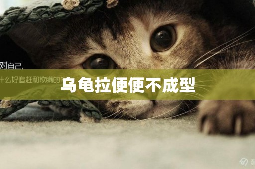 烏龜拉便便不成型