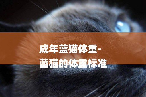 成年藍貓體重-
藍貓的體重標準
