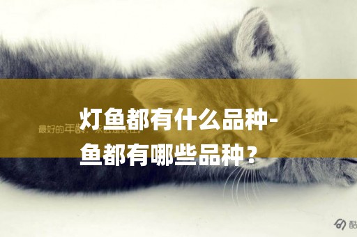 燈魚都有什么品種-
魚都有哪些品種？