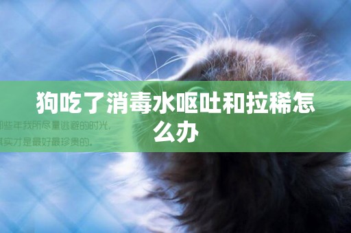 狗吃了消毒水嘔吐和拉稀怎么辦