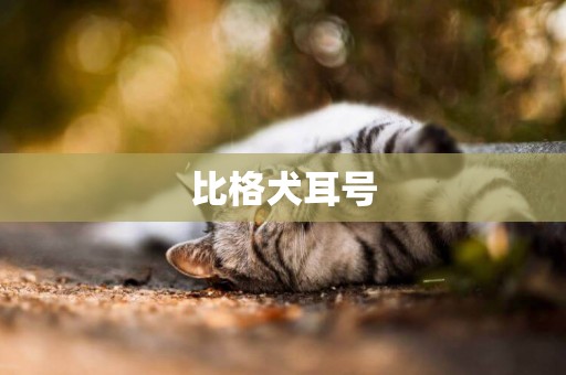 比格犬耳號