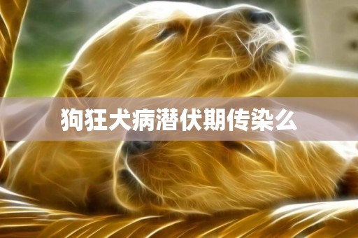 狗狂犬病潛伏期傳染么