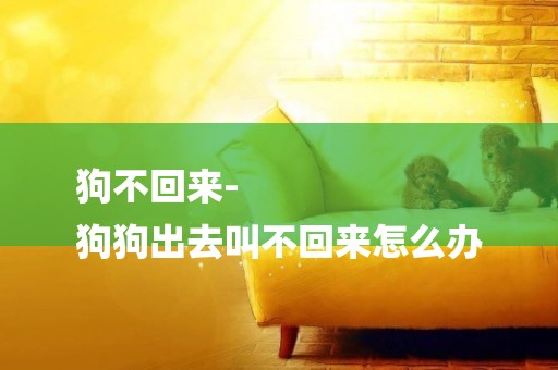 狗不回來-
狗狗出去叫不回來怎么辦