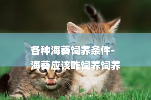 各種海葵飼養條件-
海葵應該咋飼養飼養