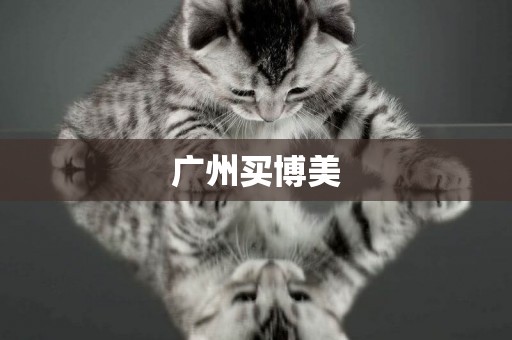 廣州買博美