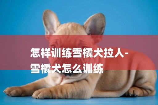怎樣訓練雪橇犬拉人-
雪橇犬怎么訓練