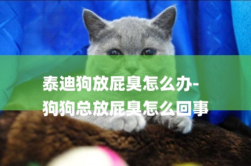 泰迪狗放屁臭怎么辦-
狗狗總放屁臭怎么回事