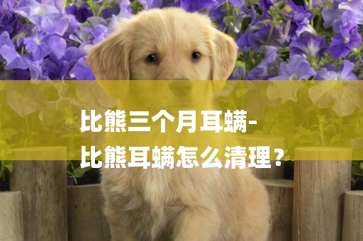 比熊三個月耳螨-
比熊耳螨怎么清理？