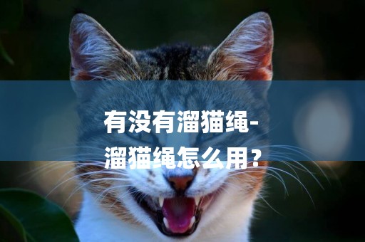 有沒有溜貓繩-
溜貓繩怎么用？