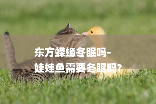 東方蠑螈冬眠嗎-
娃娃魚需要冬眠嗎?