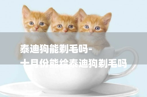 泰迪狗能剃毛嗎-
十月份能給泰迪狗剃毛嗎