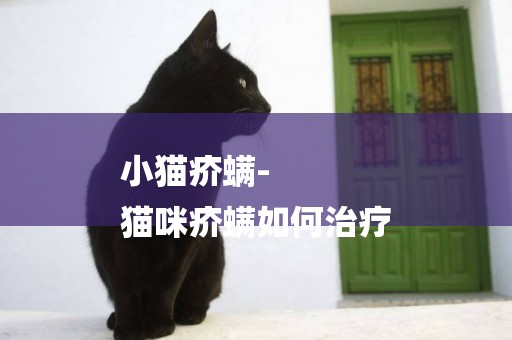 小貓疥螨-
貓咪疥螨如何治療
