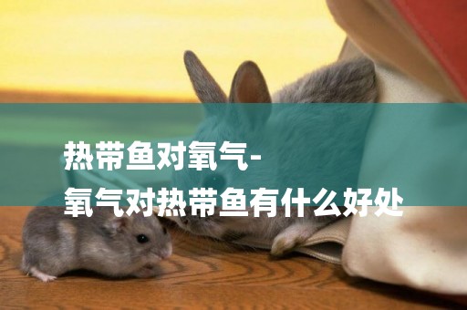 熱帶魚對氧氣-
氧氣對熱帶魚有什么好處