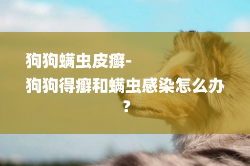 狗狗螨蟲皮癬-
狗狗得癬和螨蟲感染怎么辦？