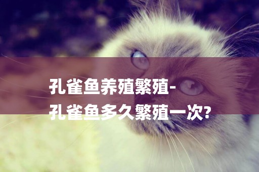 孔雀魚養殖繁殖-
孔雀魚多久繁殖一次?