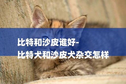 比特和沙皮誰好-
比特犬和沙皮犬雜交怎樣