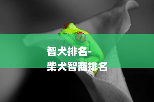 智犬排名-
柴犬智商排名