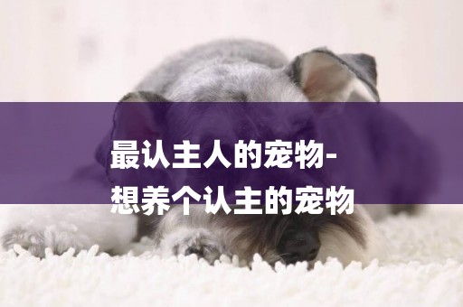 最認主人的寵物-
想養個認主的寵物