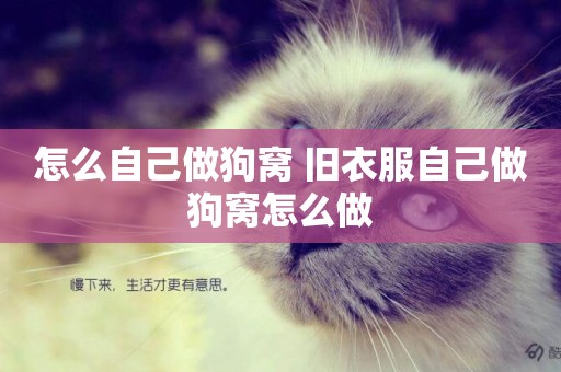 怎么自己做狗窩 舊衣服自己做狗窩怎么做