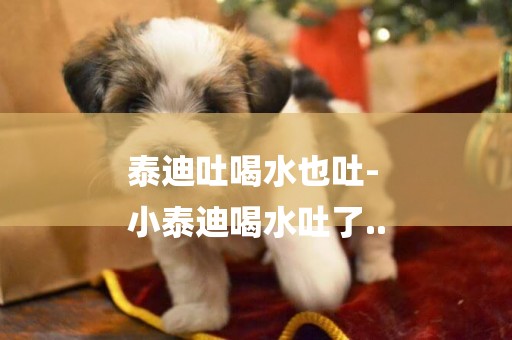 泰迪吐喝水也吐-
小泰迪喝水吐了..