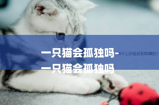 一只貓會孤獨嗎-
一只貓會孤獨嗎