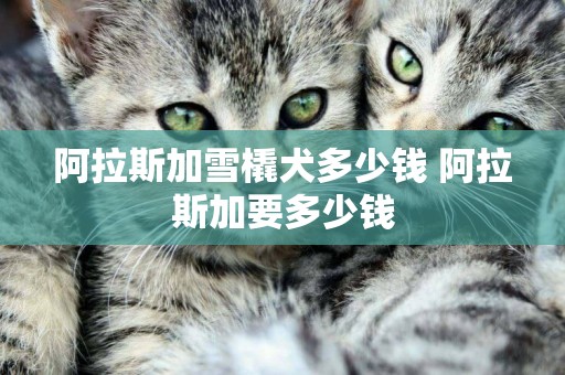 阿拉斯加雪橇犬多少錢 阿拉斯加要多少錢