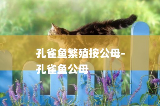 孔雀魚繁殖按公母-
孔雀魚公母