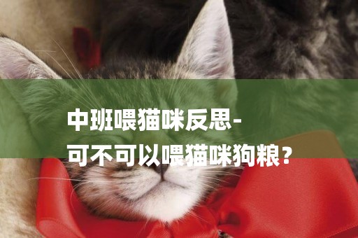 中班喂貓咪反思-
可不可以喂貓咪狗糧？