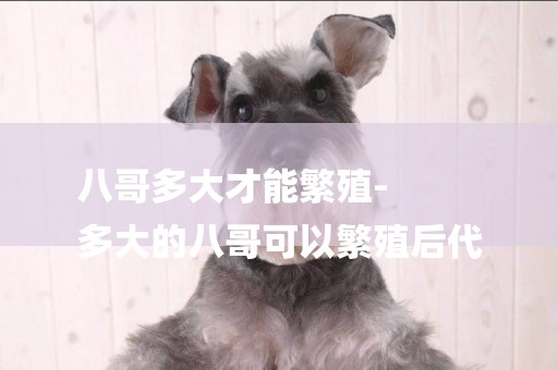 八哥多大才能繁殖-
多大的八哥可以繁殖后代