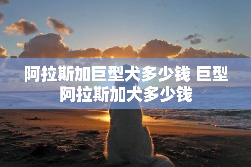 阿拉斯加巨型犬多少錢 巨型阿拉斯加犬多少錢
