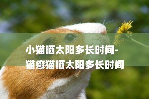 小貓曬太陽多長時間-
貓癬貓曬太陽多長時間